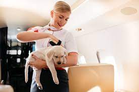 How to Fly With Pets