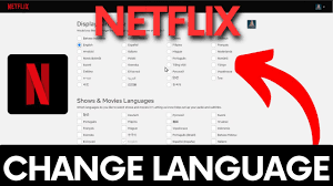 How To Change Netflix Language